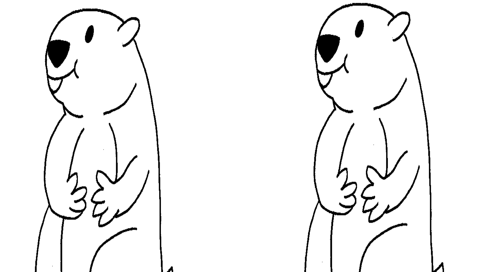 groundhog drawing