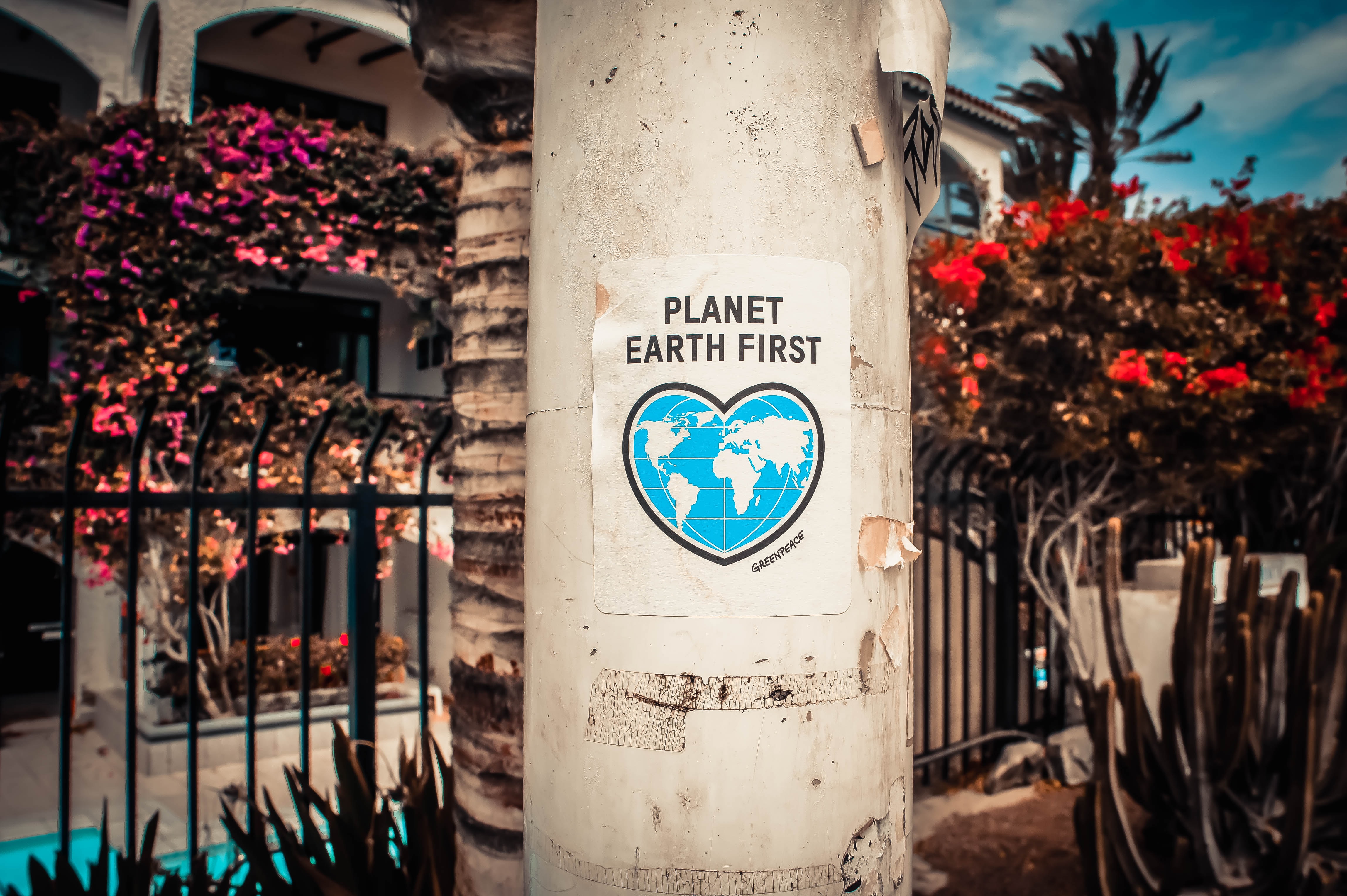 What Can We Do About Green Spaces? (Green Spaces #5)