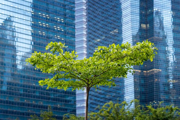 Disappearing Green Spaces and Environmental Justice (Green Spaces #2)