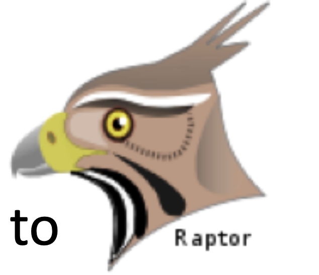 BIRD BEAKS