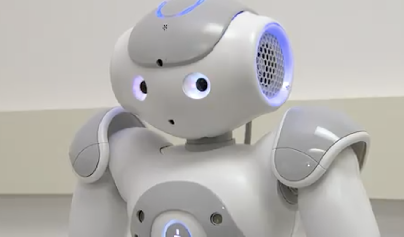 NSF Robot