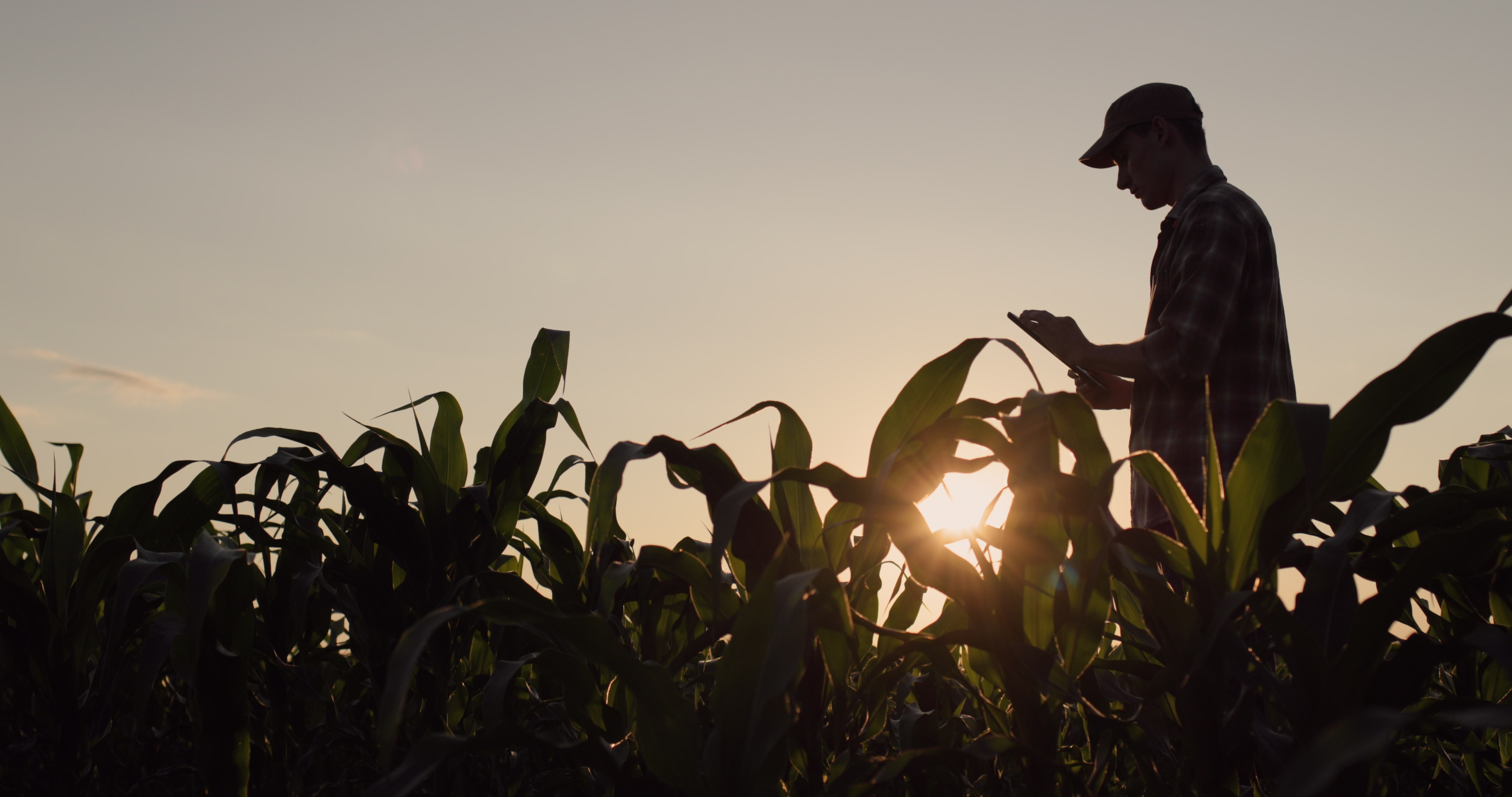 Farmers Feeling Weight of Trump Policies With Shutdown of Aid