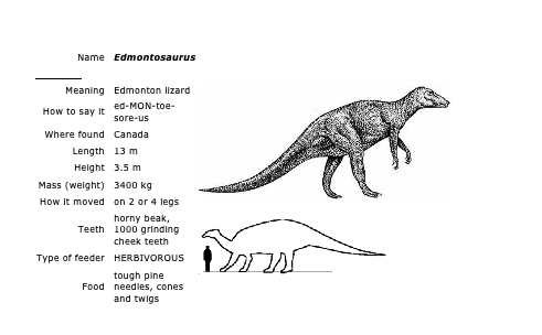 dinosaurs