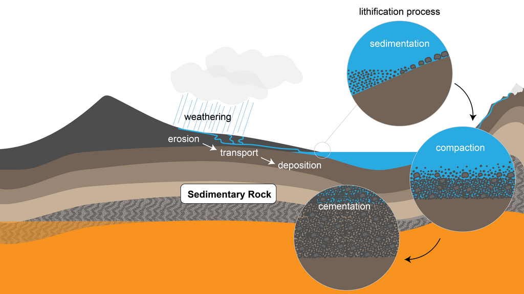 Process of forming sedimentary rocks from weathering, erosion, transport, deposition, sedimentation, compaction, and cementation