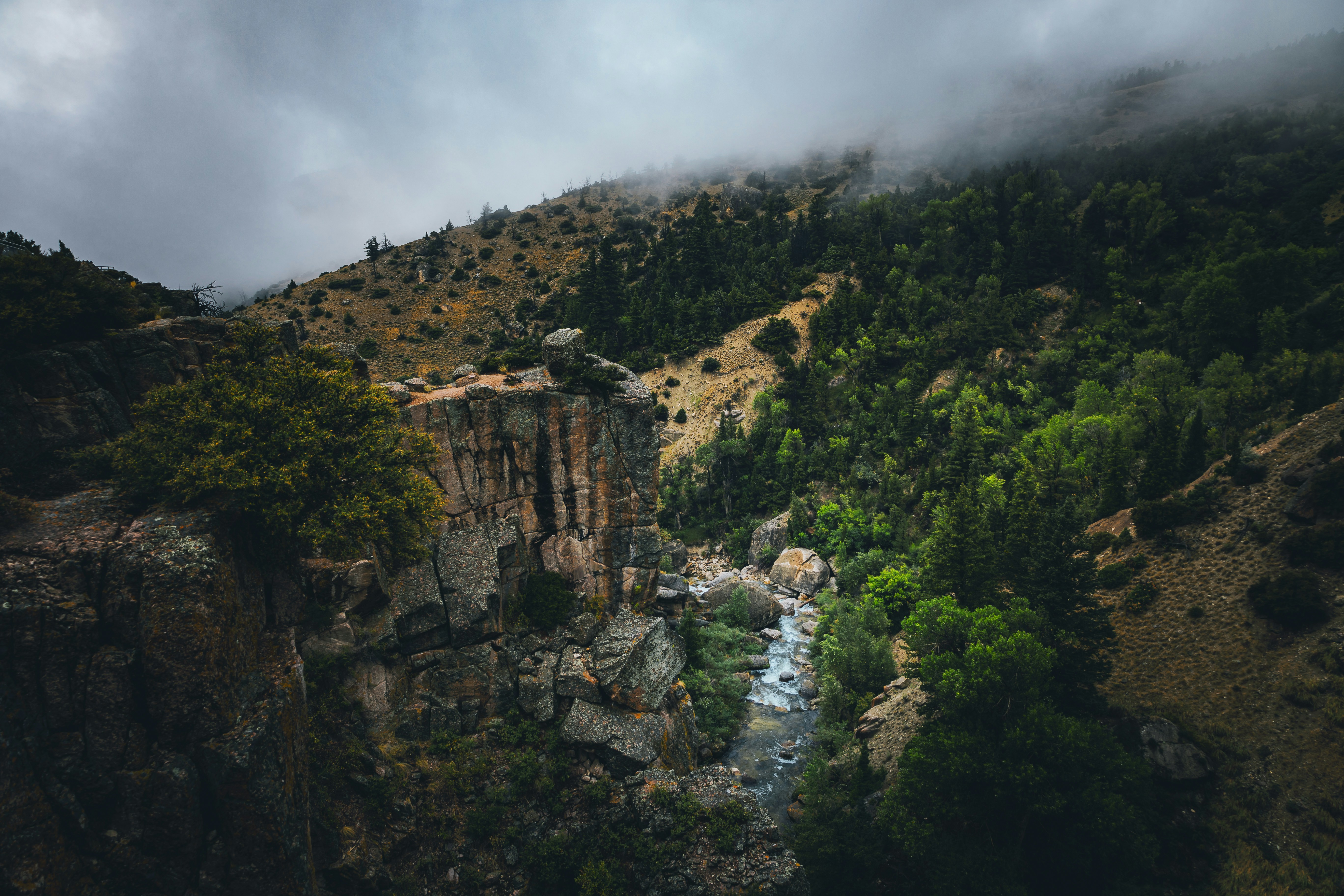 Photo by JT Cattelan on Unsplash