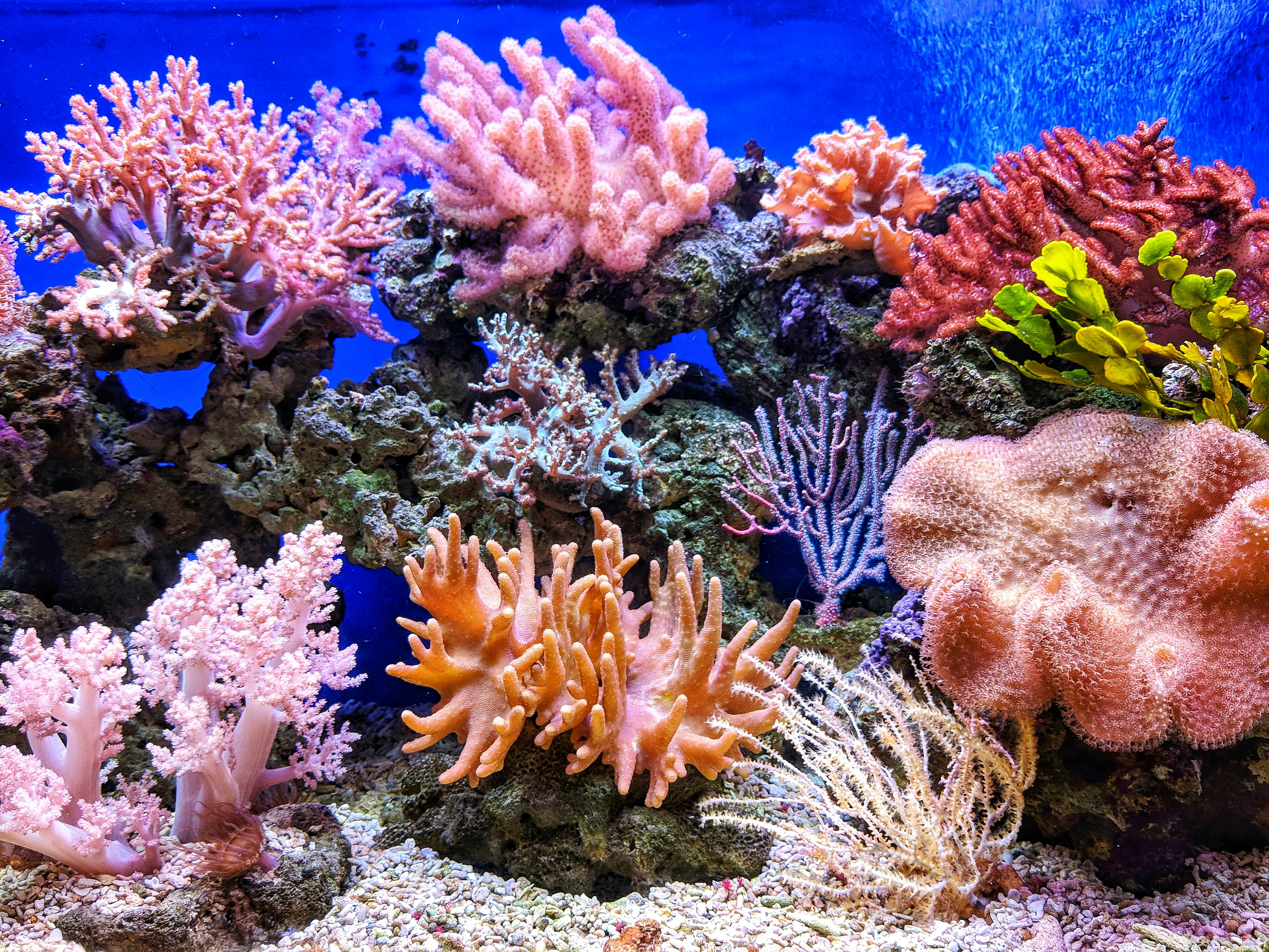 Marine Biology Curriculum: Dive into the Ocean's Wonders