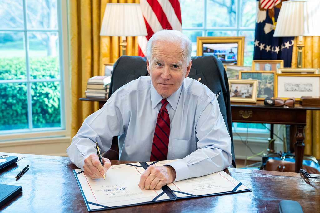 What is the President's Role in the Legislative Process? | Video & Worksheet