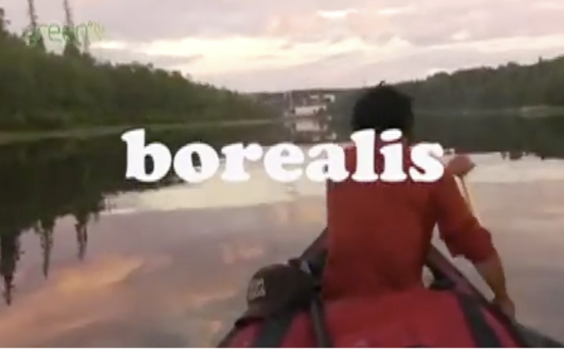 borealis