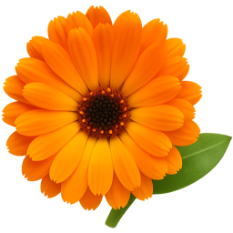 Asteraceae (Daisy Family) – Ready-to-use Biology Lesson with Interactive Plant Exploration