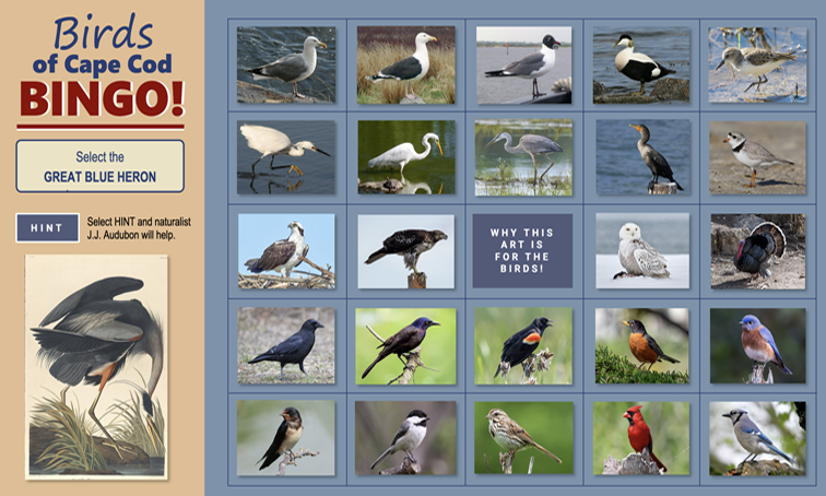 Birds of Cape Cod Bingo