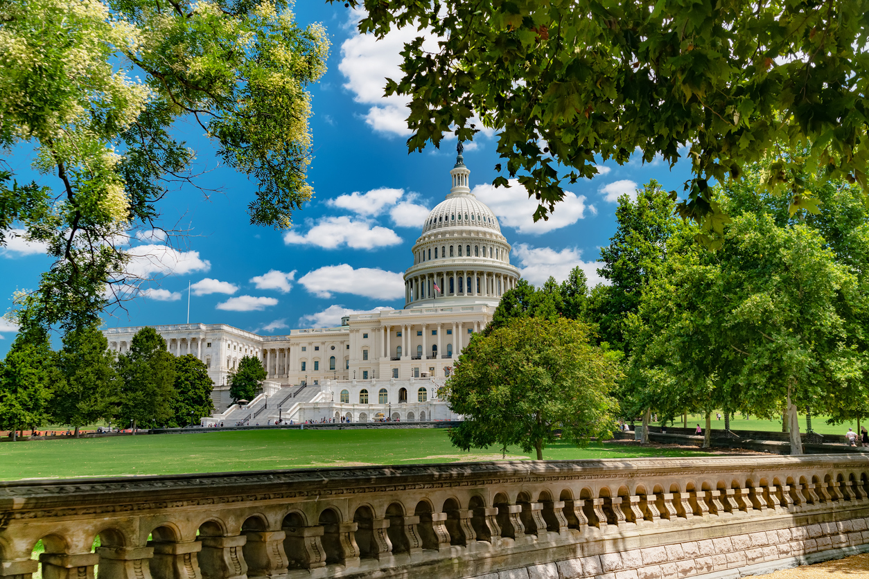 Constitution of the United States Explained: Article 1, Section 1 - Congress
