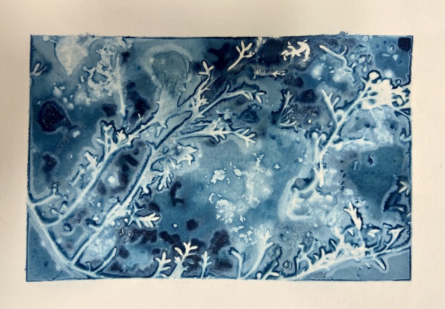 "wet" Cyanotype