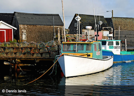 Sustainable Fishing in the Philippines