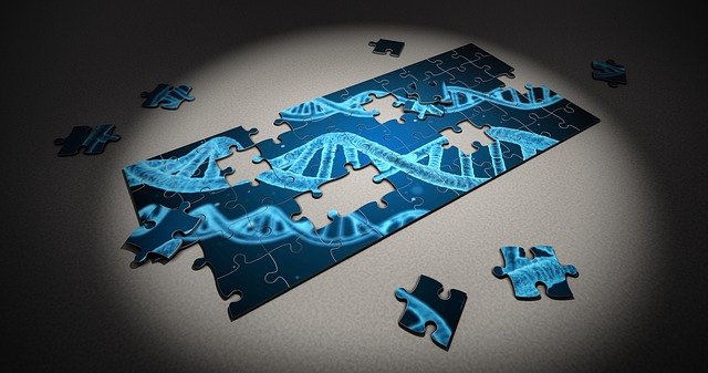 making vaccines work