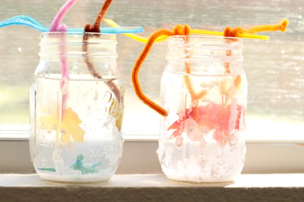 Mason Jar, leaf crystals