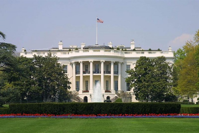 The Executive Branch