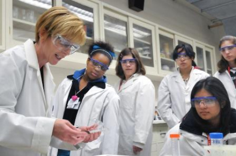 Putting the Next Generation Science Standards into practice