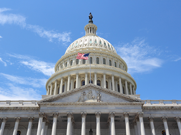 Constitution Explained: Article 1, Section 5 Handout - Rules and Procedures of Congress